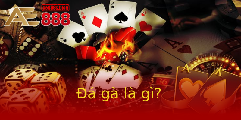 Đá gà là gì? Đá gà là gì?