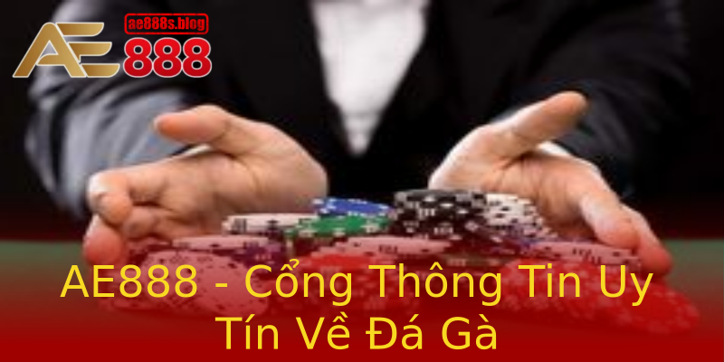 AE888 - Cổng Thông Tin Uy Tín Về Đá Gà AE888 - Cổng Thông Tin Uy Tín Về Đá Gà