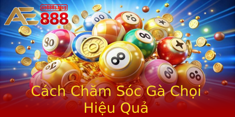 Cách Chăm Sóc Gà Chọi Hiệu Quả Cách Chăm Sóc Gà Chọi Hiệu Quả