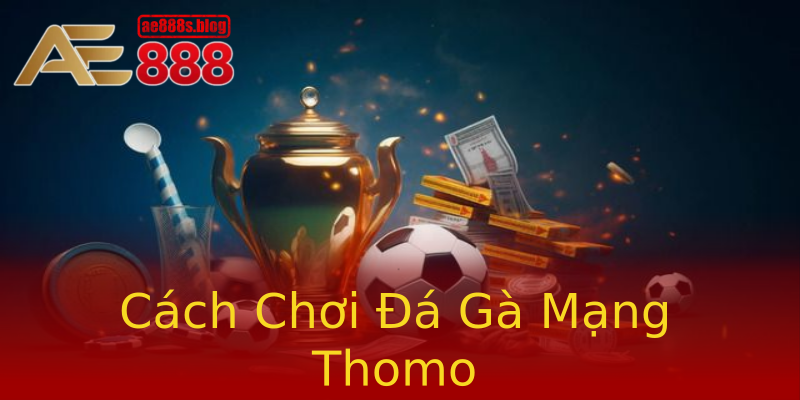 Cách Chơi Đá Gà Mạng Thomo Cách Chơi Đá Gà Mạng Thomo