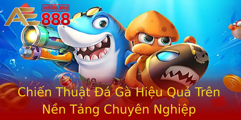 Chiến Thuật Đá Gà Hiệu Quả Trên Nền Tảng Chuyên Nghiệp Chiến Thuật Đá Gà Hiệu Quả Trên Nền Tảng Chuyên Nghiệp