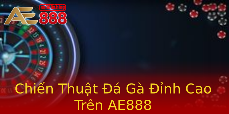 Chiến Thuật Đá Gà Đỉnh Cao Trên AE888