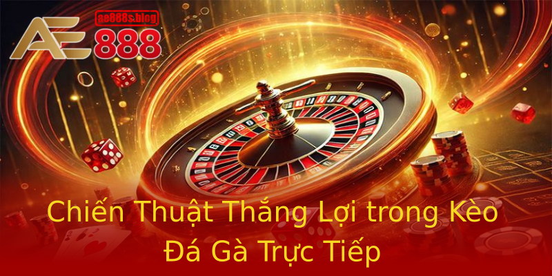 Chiến Thuật Thắng Lợi trong Kèo Đá Gà Trực Tiếp Chiến Thuật Thắng Lợi trong Kèo Đá Gà Trực Tiếp