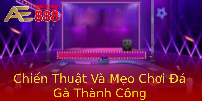 Chiến Thuật Và Mẹo Chơi Đá Gà Thành Công Chiến Thuật Và Mẹo Chơi Đá Gà Thành Công