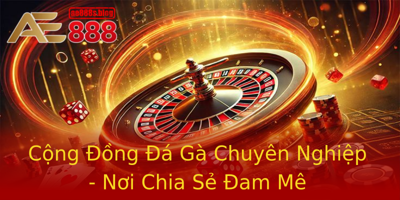 Cộng Đồng Đá Gà Chuyên Nghiệp - Nơi Chia Sẻ Đam Mê Cộng Đồng Đá Gà Chuyên Nghiệp - Nơi Chia Sẻ Đam Mê