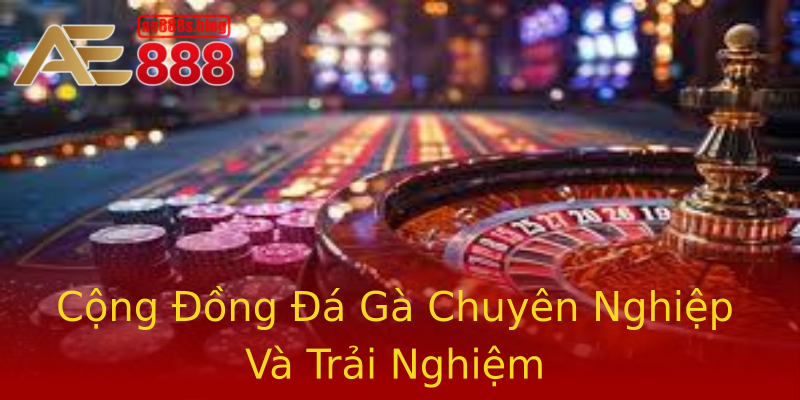 Cộng Đồng Đá Gà Chuyên Nghiệp Và Trải Nghiệm Cộng Đồng Đá Gà Chuyên Nghiệp Và Trải Nghiệm