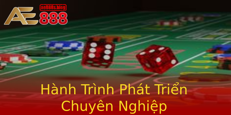 Hành Trình Phát Triển Chuyên Nghiệp