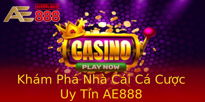 Khám Phá Nhà Cái Cá Cược Uy Tín AE888