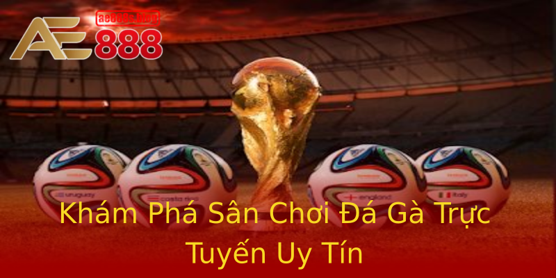 Khám Phá Sân Chơi Đá Gà Trực Tuyến Uy Tín Khám Phá Sân Chơi Đá Gà Trực Tuyến Uy Tín