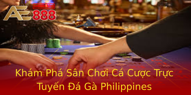 Khám Phá Sân Chơi Cá Cược Trực Tuyến Đá Gà Philippines Khám Phá Sân Chơi Cá Cược Trực Tuyến Đá Gà Philippines