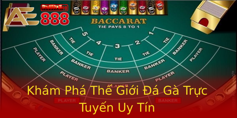 Khám Phá Thế Giới Đá Gà Trực Tuyến Uy Tín Khám Phá Thế Giới Đá Gà Trực Tuyến Uy Tín