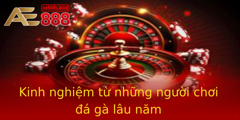Kinh nghiệm từ những người chơi đá gà lâu năm Kinh nghiệm từ những người chơi đá gà lâu năm
