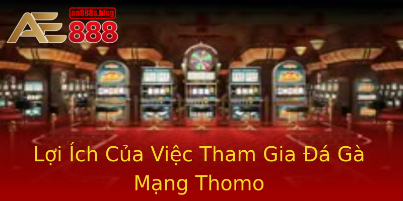 Lợi Ích Của Việc Tham Gia Đá Gà Mạng Thomo Lợi Ích Của Việc Tham Gia Đá Gà Mạng Thomo