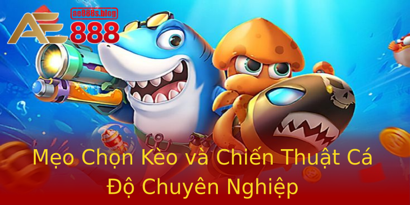 Mẹo Chọn Kèo và Chiến Thuật Cá Độ Chuyên Nghiệp Mẹo Chọn Kèo và Chiến Thuật Cá Độ Chuyên Nghiệp