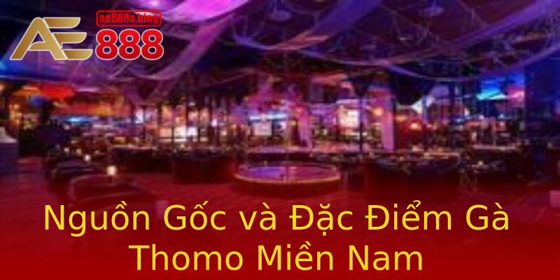Nguồn Gốc và Đặc Điểm Gà Thomo Miền Nam Nguồn Gốc và Đặc Điểm Gà Thomo Miền Nam