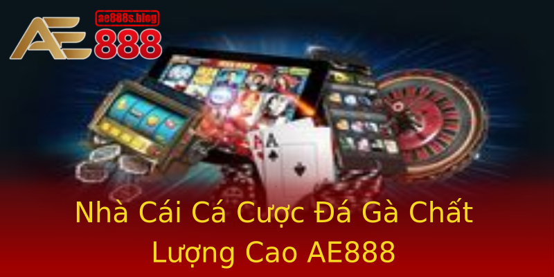 Nhà Cái Cá Cược Đá Gà Chất Lượng Cao AE888 Nhà Cái Cá Cược Đá Gà Chất Lượng Cao AE888