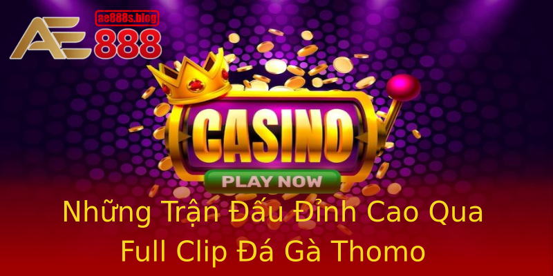Những Trận Đấu Đỉnh Cao Qua Full Clip Đá Gà Thomo Những Trận Đấu Đỉnh Cao Qua Full Clip Đá Gà Thomo