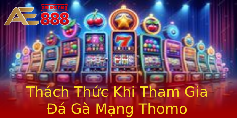 Thách Thức Khi Tham Gia Đá Gà Mạng Thomo Thách Thức Khi Tham Gia Đá Gà Mạng Thomo