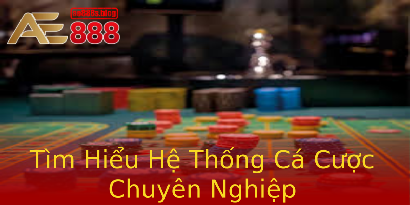 Tìm Hiểu Hệ Thống Cá Cược Chuyên Nghiệp Tìm Hiểu Hệ Thống Cá Cược Chuyên Nghiệp