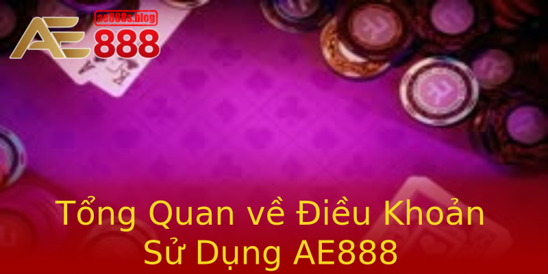 Tổng Quan về Điều Khoản Sử Dụng AE888