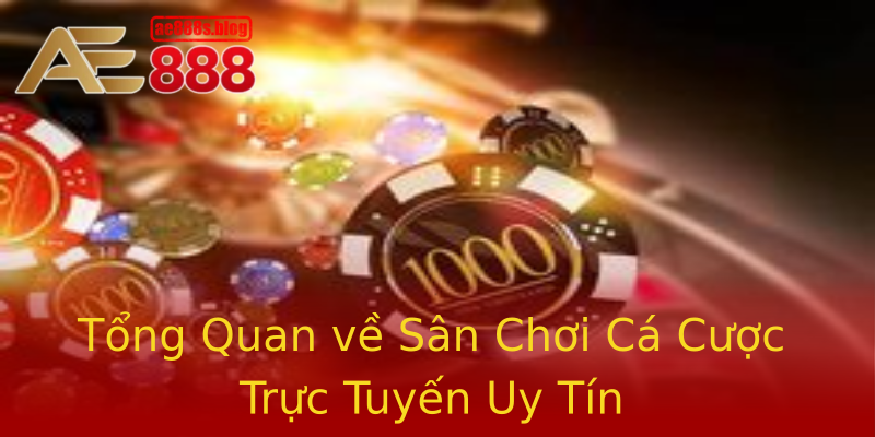Tổng Quan về Sân Chơi Cá Cược Trực Tuyến Uy Tín