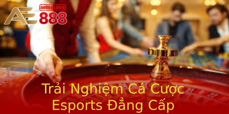 Trải Nghiệm Cá Cược Esports Đẳng Cấp Trải Nghiệm Cá Cược Esports Đẳng Cấp