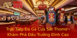 Truc Tiep A Ga Cua Sat Thomo Kham Pha Au Truong Inh Cao