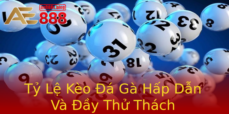 Tỷ Lệ Kèo Đá Gà Hấp Dẫn Và Đầy Thử Thách Tỷ Lệ Kèo Đá Gà Hấp Dẫn Và Đầy Thử Thách