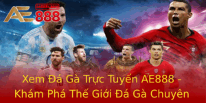 Xem A Ga Truc Tuyen Ae888 Kham Pha The Gioi A Ga Chuyen Nghiep Inh Cao